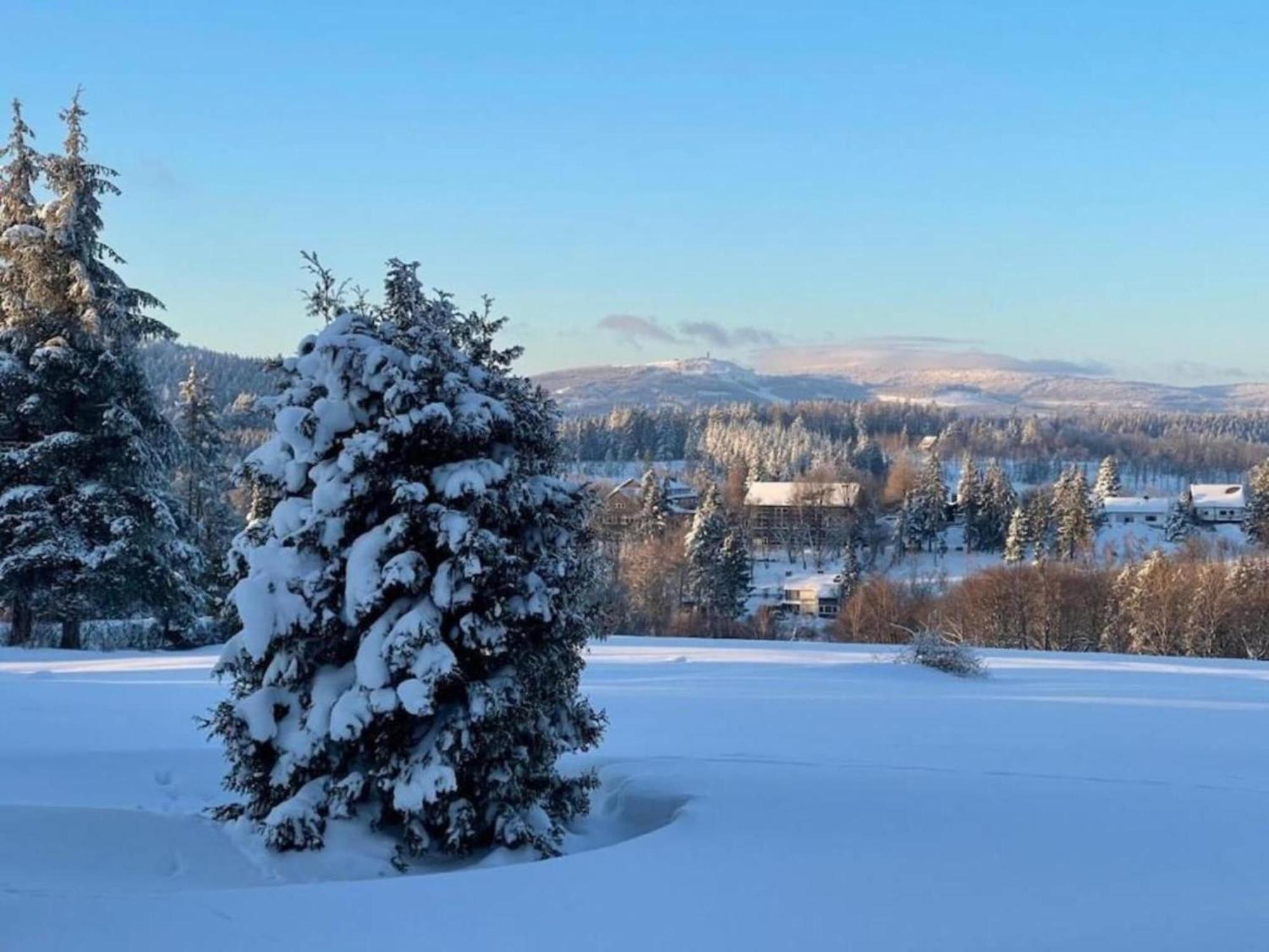 Cozy Apartment In Braunlage Near Forest Hohegeiß エクステリア 写真