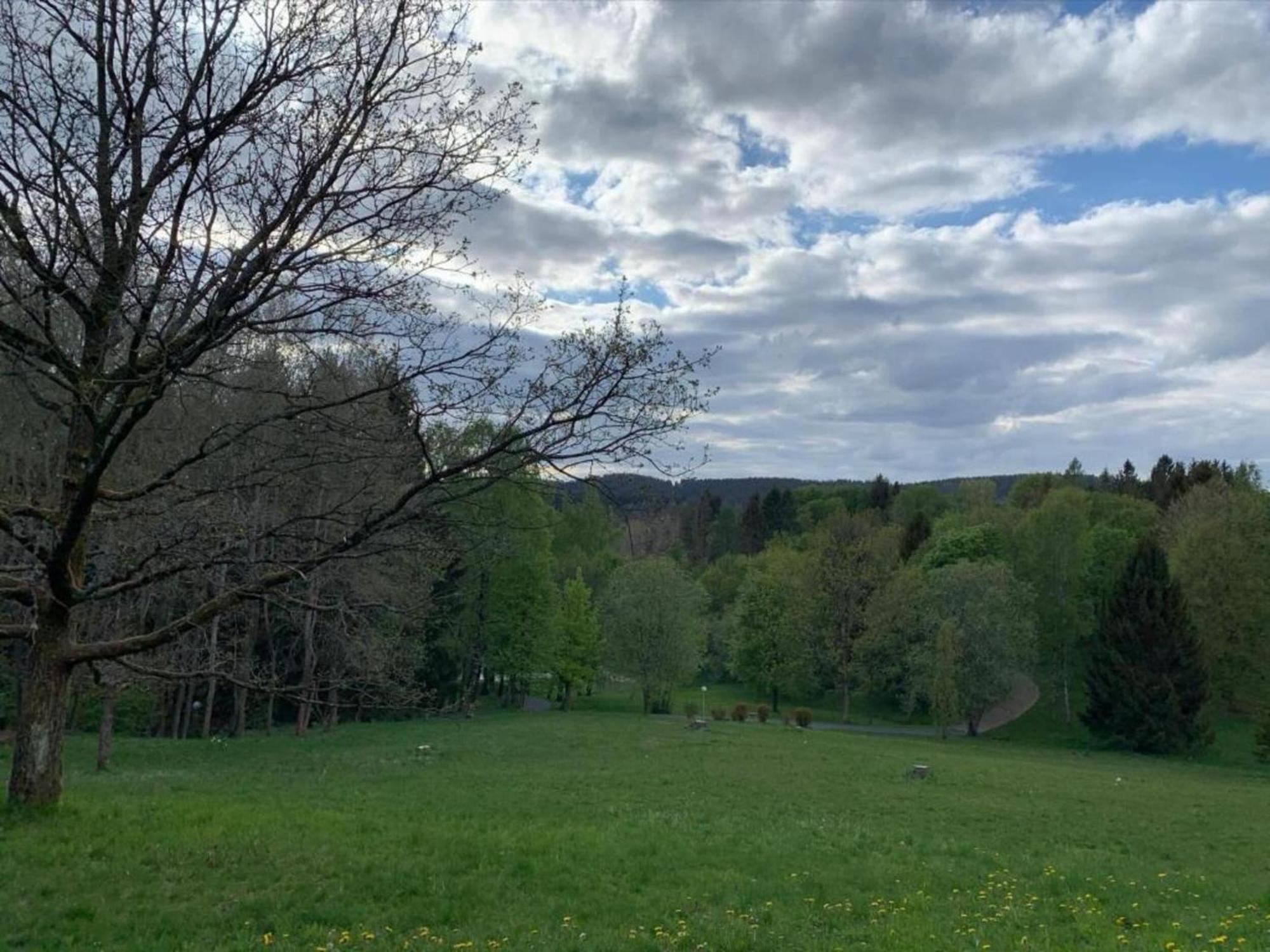 Cozy Apartment In Braunlage Near Forest Hohegeiß エクステリア 写真