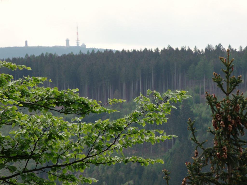 Cozy Apartment In Braunlage Near Forest Hohegeiß エクステリア 写真